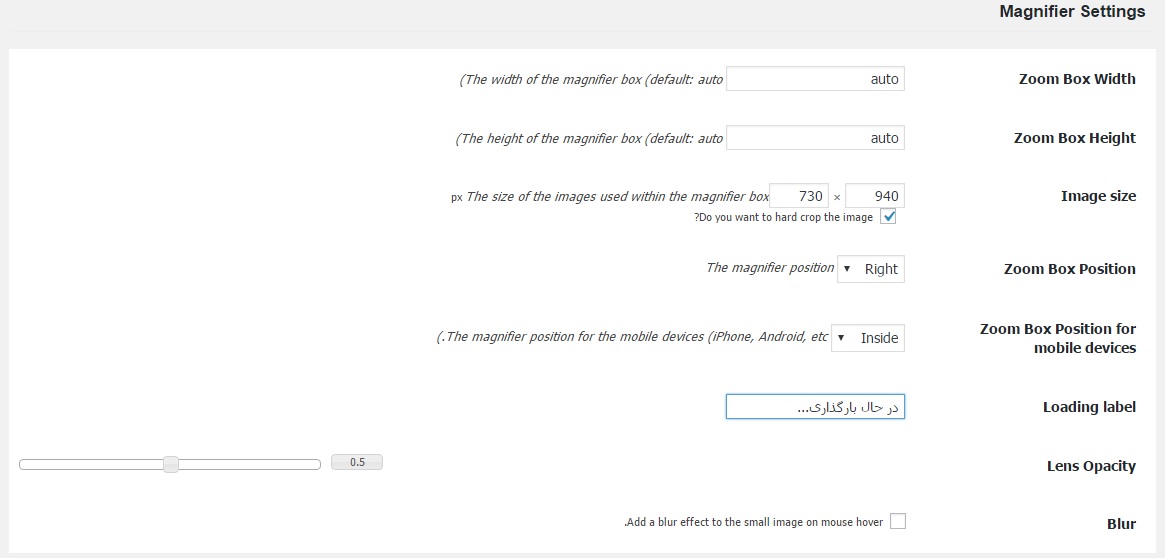 magnifier setting hamyarwp