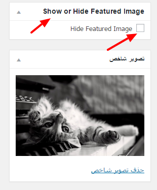 hide_feature_image_hamyarwp.com