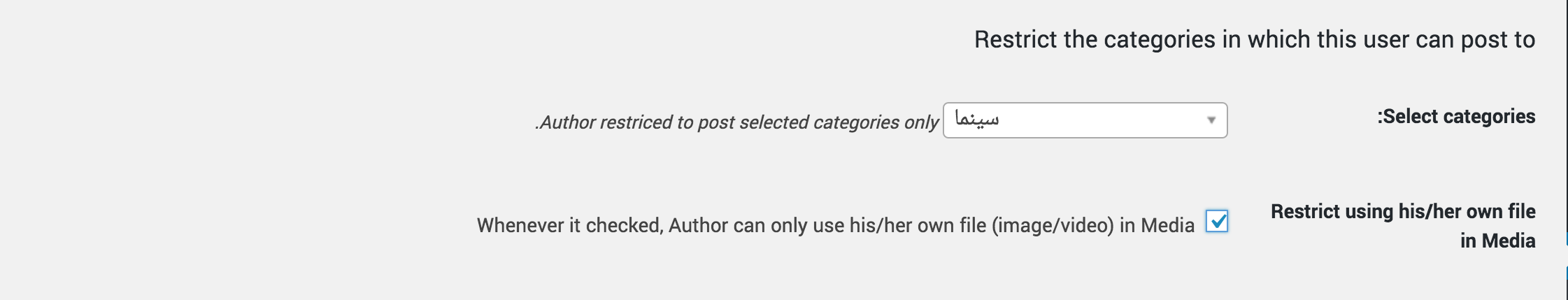 ایجاد دسترسی محدود برای نویسندگان با Restrict Author Posting