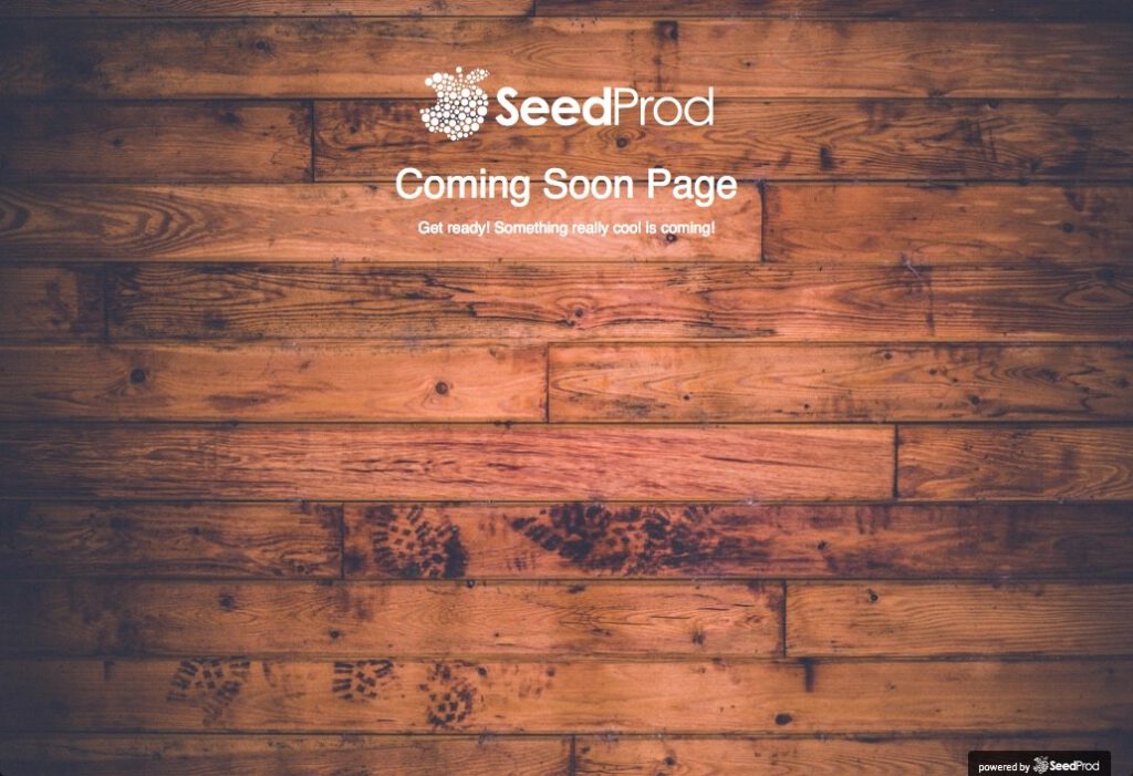 SeedProd plugin-تغییر قالب وردپرس