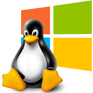 windows or linux- هاست وردپرس