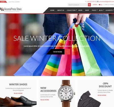 قالب وردپرس Accesspress Store