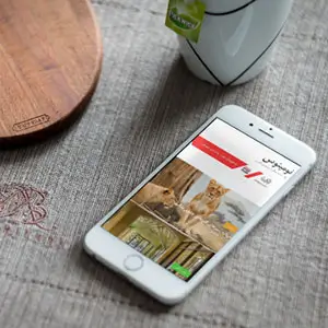 قالب وردپرس خبری Numinous