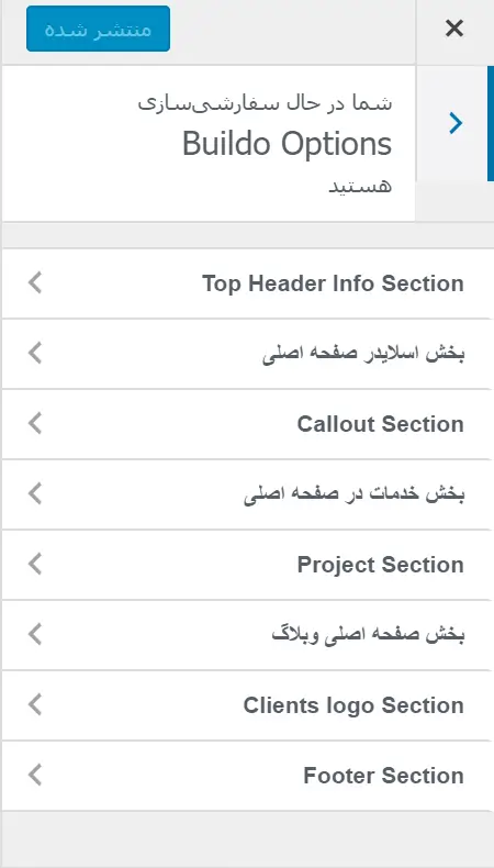 buildo options- قالب وردپرس Buildo