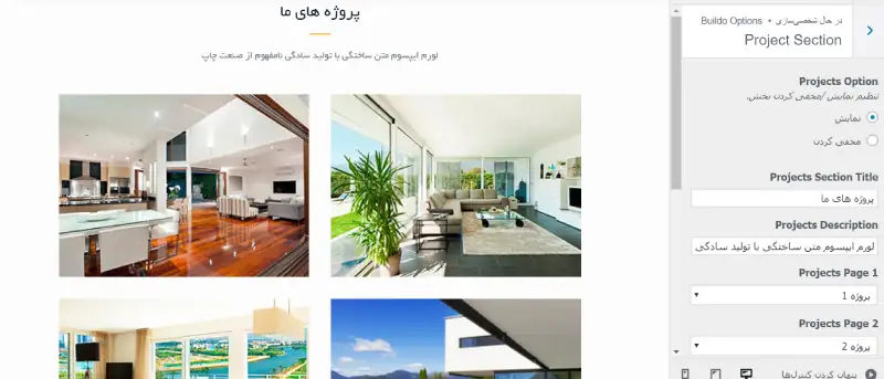 project section- قالب وردپرس Buildo