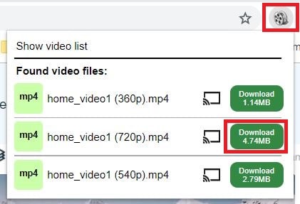 آیکون افزونه Video Downloader professional در فایرفاکس