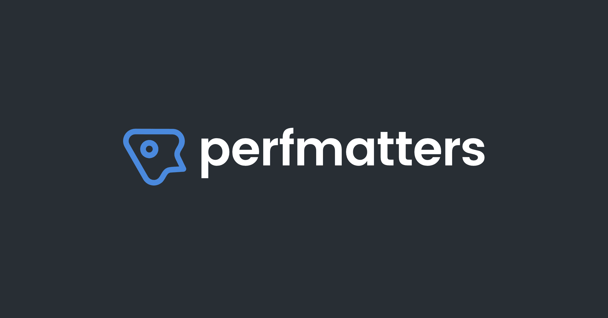 perfmatters- افزونه افزایش سرعت 