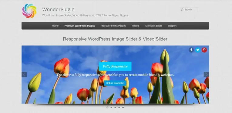 WonderPlugin WordPress Slider-اسلایدر وردپرس