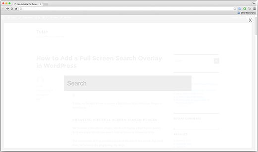 WordPress Full Screen Search Overlay-تکنیک‌ های وردپرسی