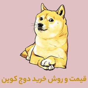 قیمت دوج کوین + روش خرید DOGE در ایران