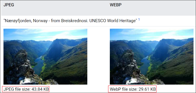 اندازه فایل تصویری بین فرمت‌های JEPG و WebP
