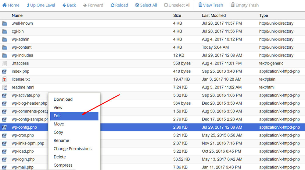 ویرایش wp config