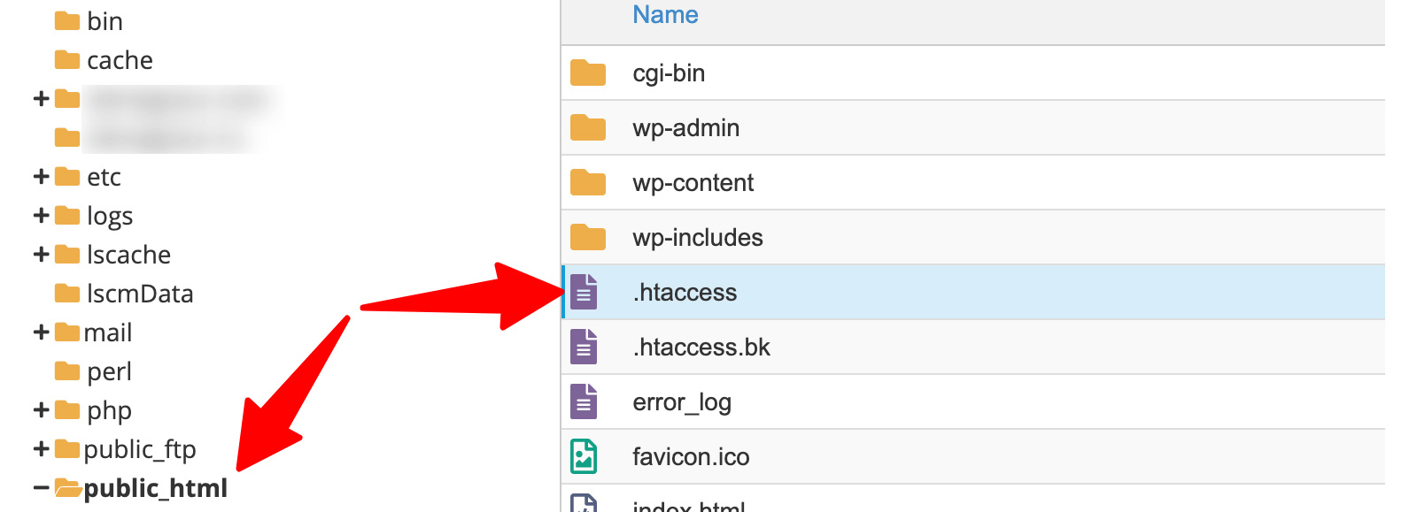 پیدا کردن فایل در روت هاست 