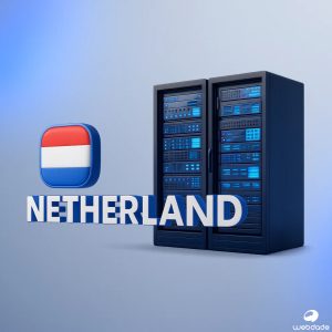نکاتی که باید هنگام انتخاب سرور مجازی هلند بدانید