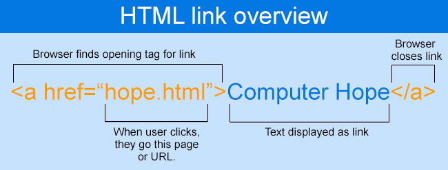 تفاوت لینک و url در چیست؟