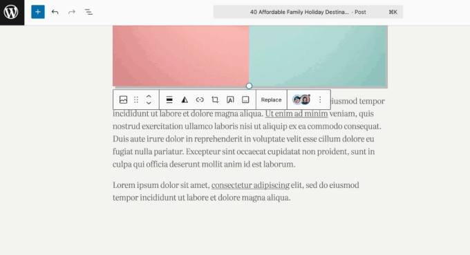 نحوه استفاده از قابلیت مخفی‌سازی در وردپرس 6.9